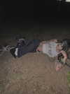 zommmbri Altpins Profile Picture