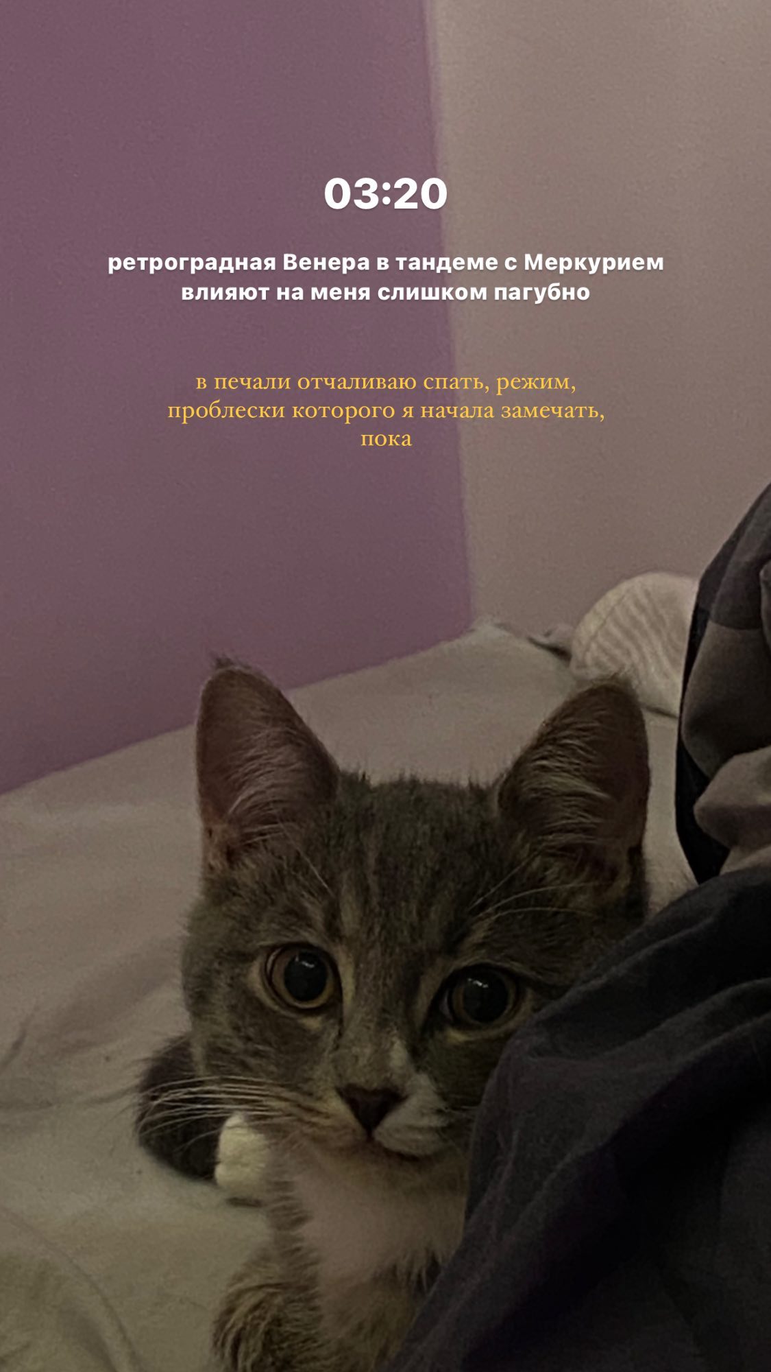 kkulakovaa instagram image archive image