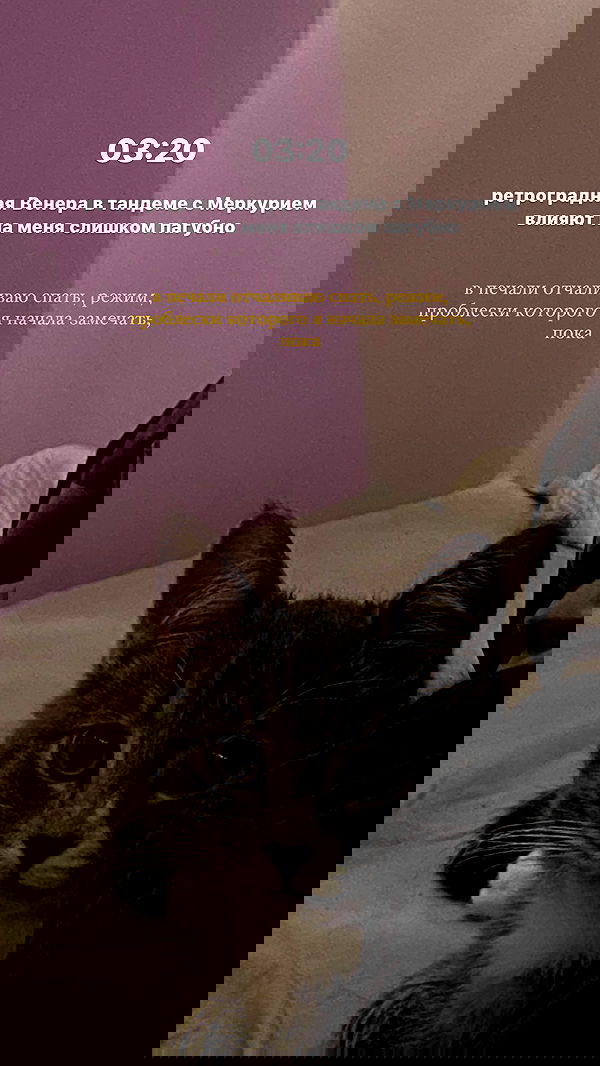 kkulakovaa image ~ Altpins