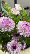 _broock_ Altpins Profile Picture