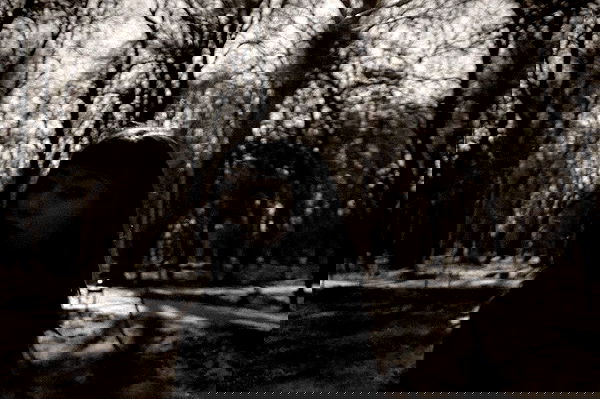 vvvierness vvvierness archive image