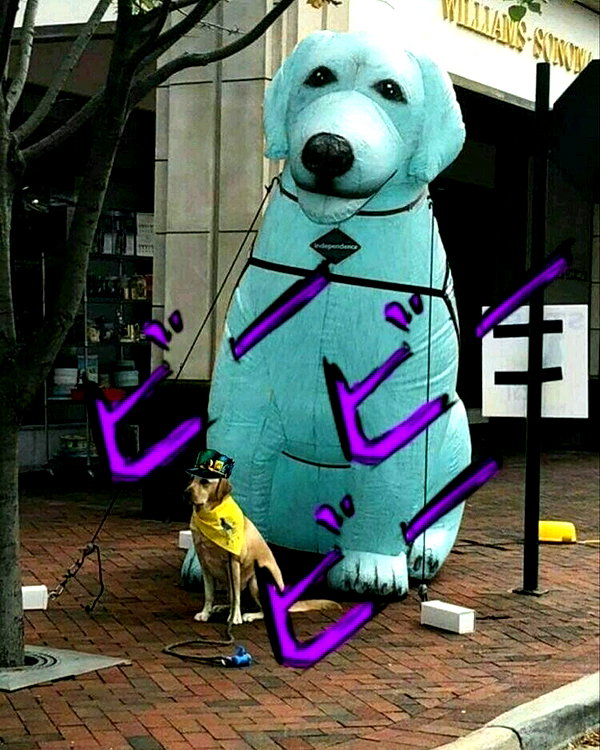 leanbeefpatty instagram image archive image