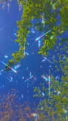 alisen.mari Altpins Profile Picture