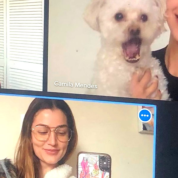 camimendes instagram image archive image
