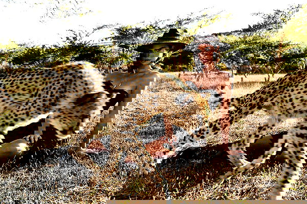 taylor.creeden taylor.creeden archive image