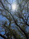 analuvillarreal Altpins Profile Picture