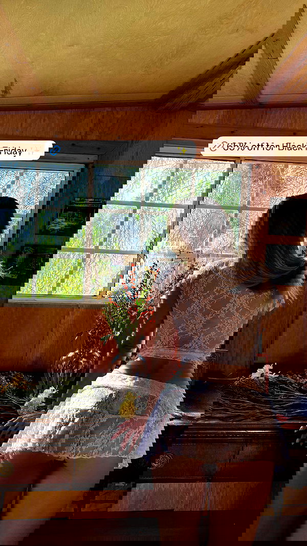 carolinezalog carolinezalog archive image