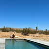 rouxroux.tv Altpins Profile Picture