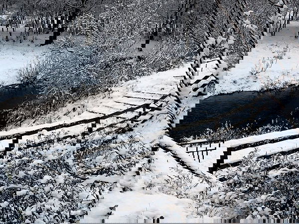 pinx_ir pinx_ir archive image