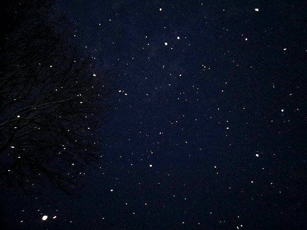 midnightdrearry instagram image archive image
