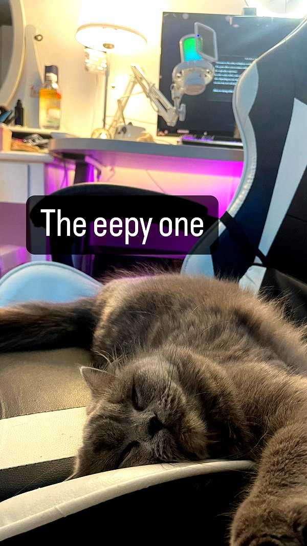 chibinekopurr instagram image archive image
