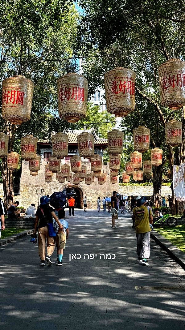 lital.oss instagram image archive image