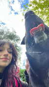 _urbaneva Altpins Profile Picture