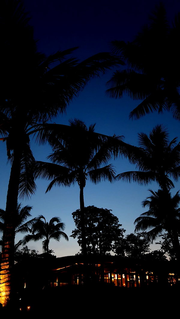 maya.keyy instagram image archive image