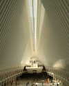 roni_ackerman Altpins Profile Picture