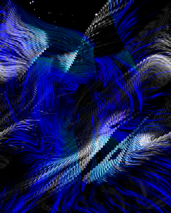 taylor.creeden taylor.creeden archive image