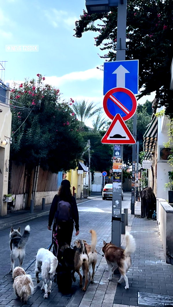 yaelxyazdi instagram image archive image