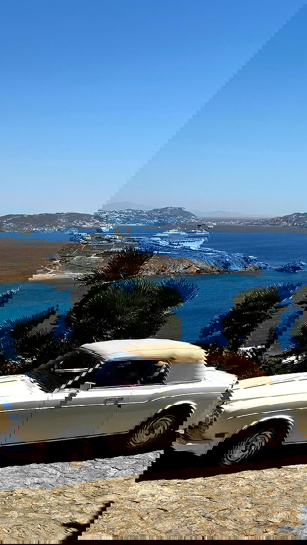 taylor.creeden taylor.creeden archive image