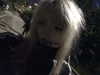 meeowqx Altpins Profile Picture