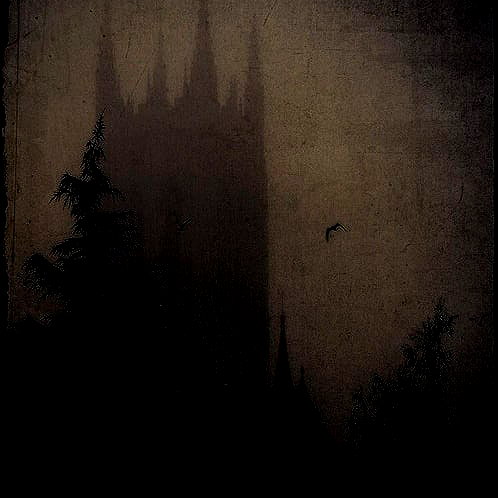 hikattti instagram image archive image