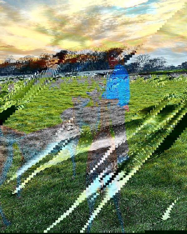 taylor.creeden taylor.creeden archive image