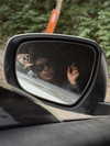 darkstar_mia Altpins Profile Picture