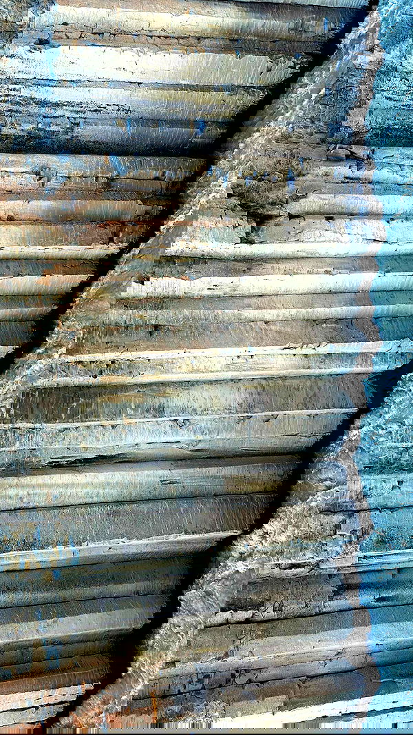 taylor.creeden taylor.creeden archive image