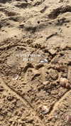 efrat_elmalich Altpins Profile Picture