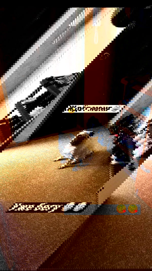 nyityam nyityam archive image