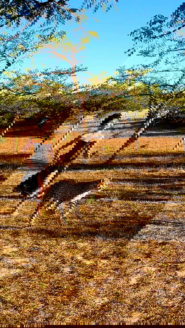 taylor.creeden taylor.creeden archive image