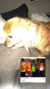 babynympho_archive Altpins Profile Picture