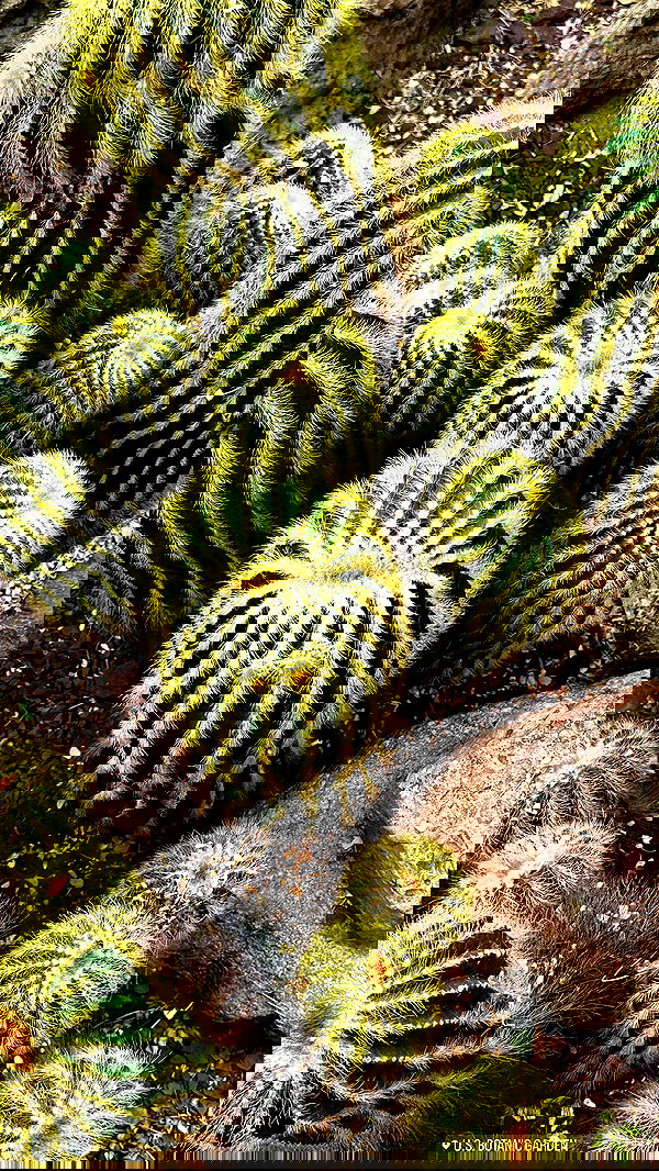 taylor.creeden taylor.creeden archive image