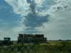 forestowwwl Altpins Profile Picture