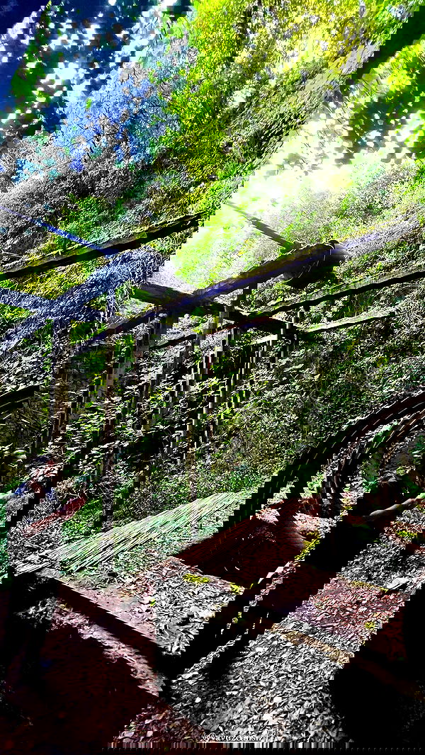 taylor.creeden taylor.creeden archive image