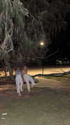 daisy_r_19 Altpins Profile Picture