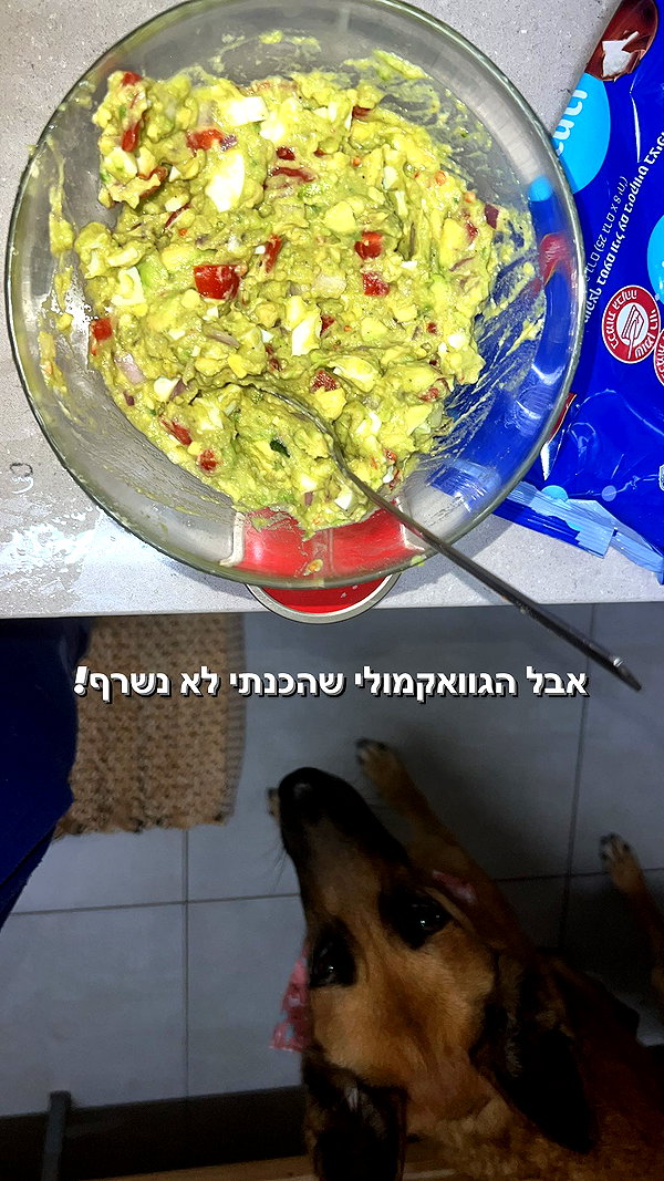 yuval_raz instagram image archive image