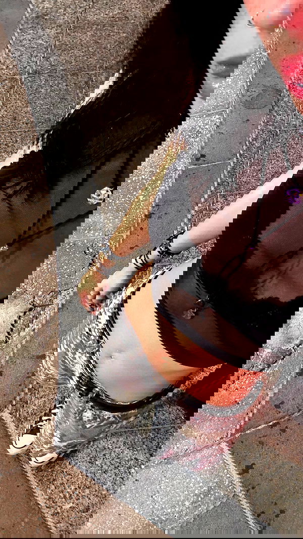 mosssaico mosssaico archive image