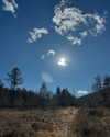 indra0102_ Altpins Profile Picture