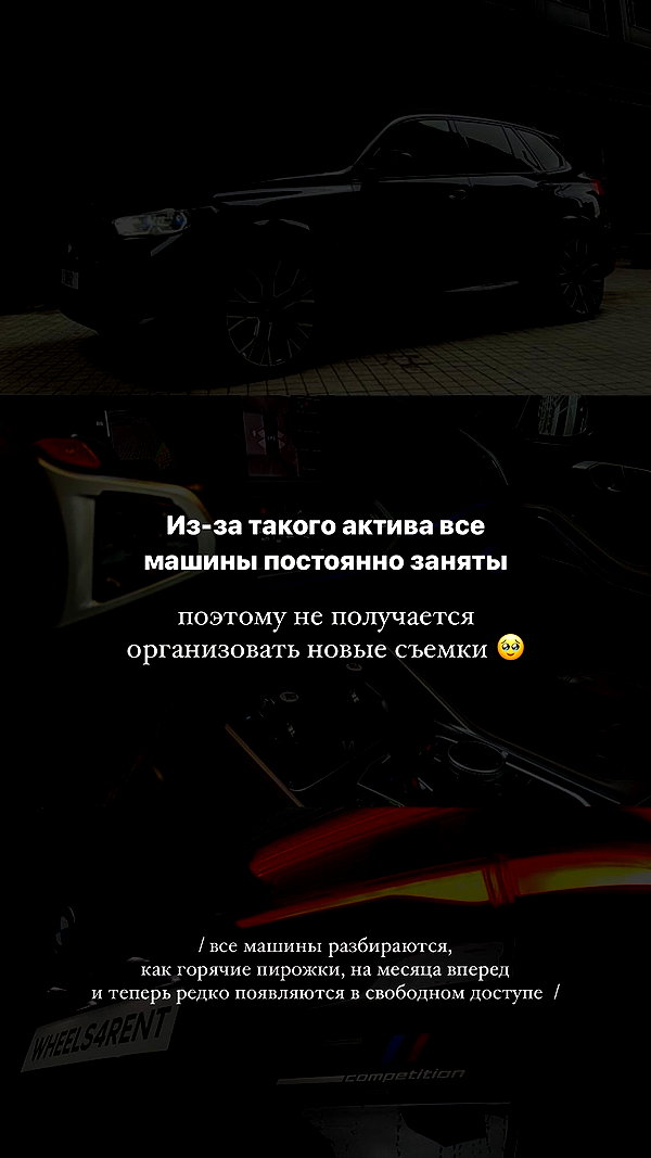 alishevs instagram image archive image