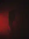 shayli_or Altpins Profile Picture