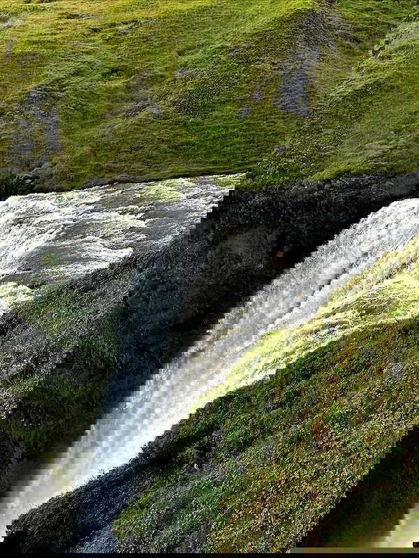 taylor.creeden taylor.creeden archive image