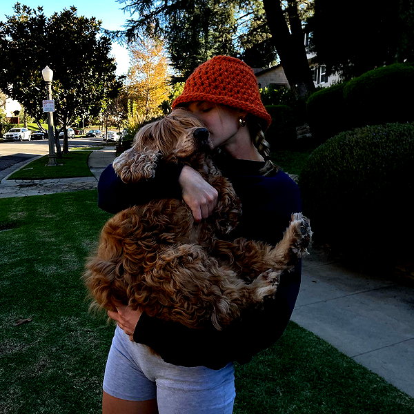 haileypandolfi instagram image archive image