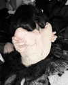klywrxzzp Altpins Profile Picture