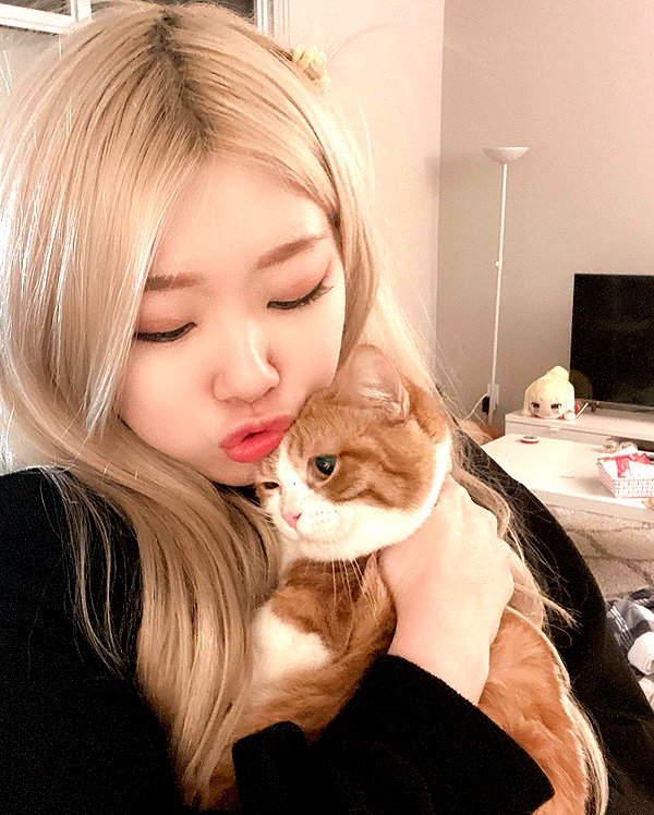 igumdrop instagram image archive image