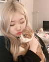 igumdrop Altpins Profile Picture