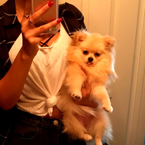 sssniperwolf instagram image archive image