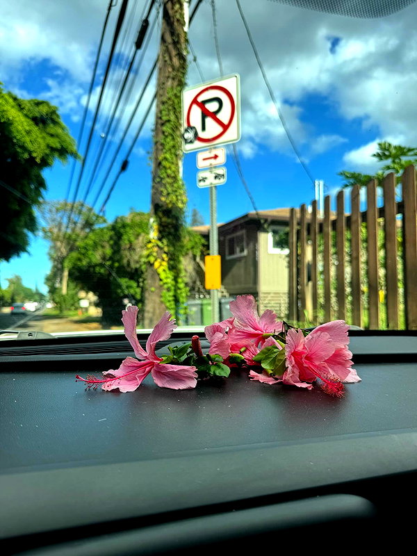 Archived image from @katiesigmond on Instagram