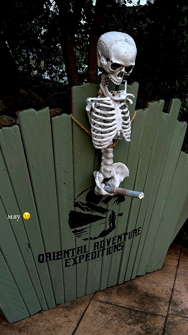 asuslovaaa instagram image archive image