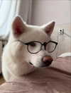 kriskaik Altpins Profile Picture