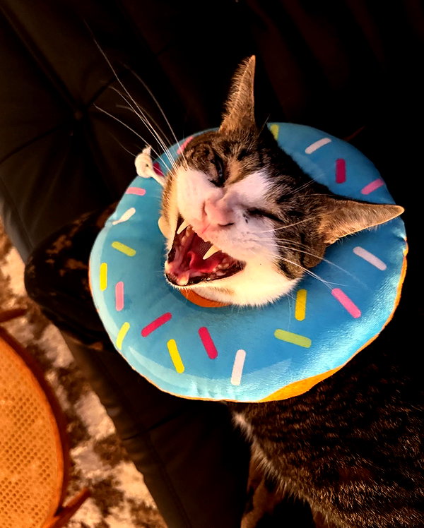 peachtoot.plz instagram image archive image